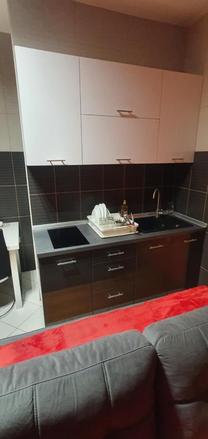 Apartment Savanovic バニャ・ルカ エクステリア 写真